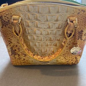 Yellow Brahmin Crossbody